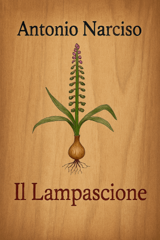Il Lampascione